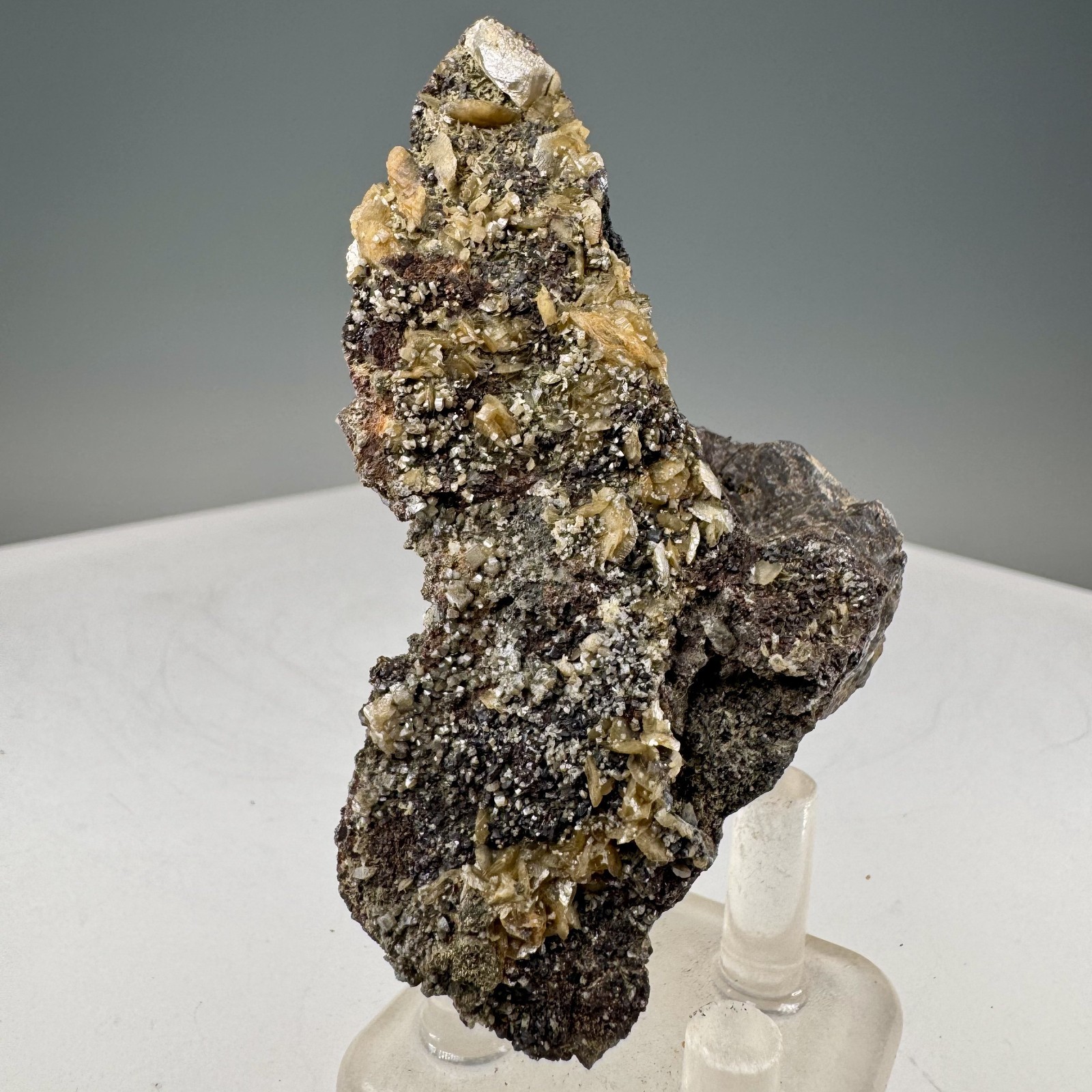 Wulfenite Crystals on Matrix: Lill Mine, Přibram, Czech Republic- Classic!!