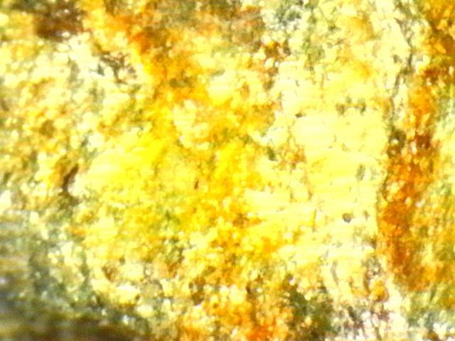 Platinum and Gold Ore Specimen/ Black Hills South Dakota