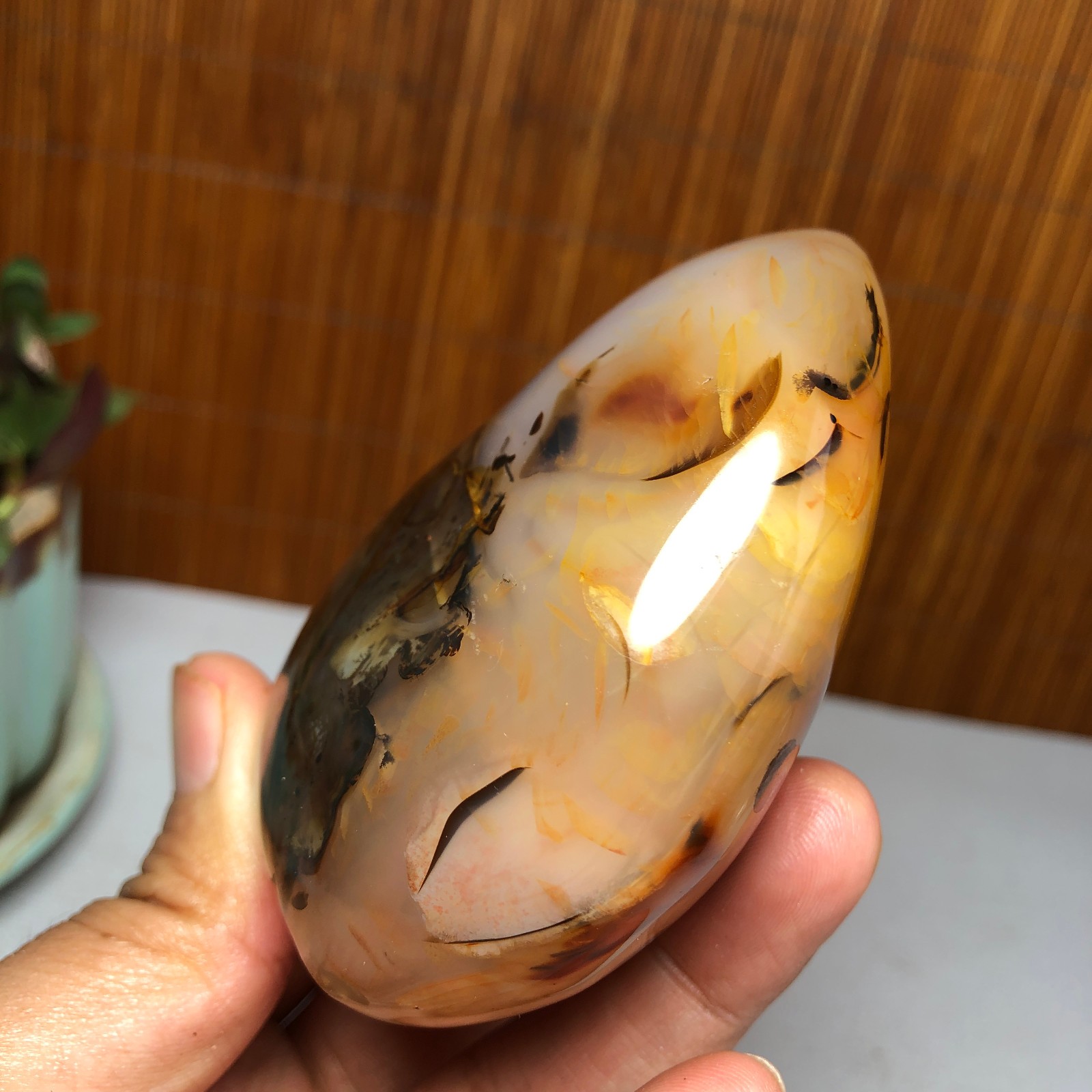 Natural aquatic plants agate pretty Crystal specimens free standing 331g A9998