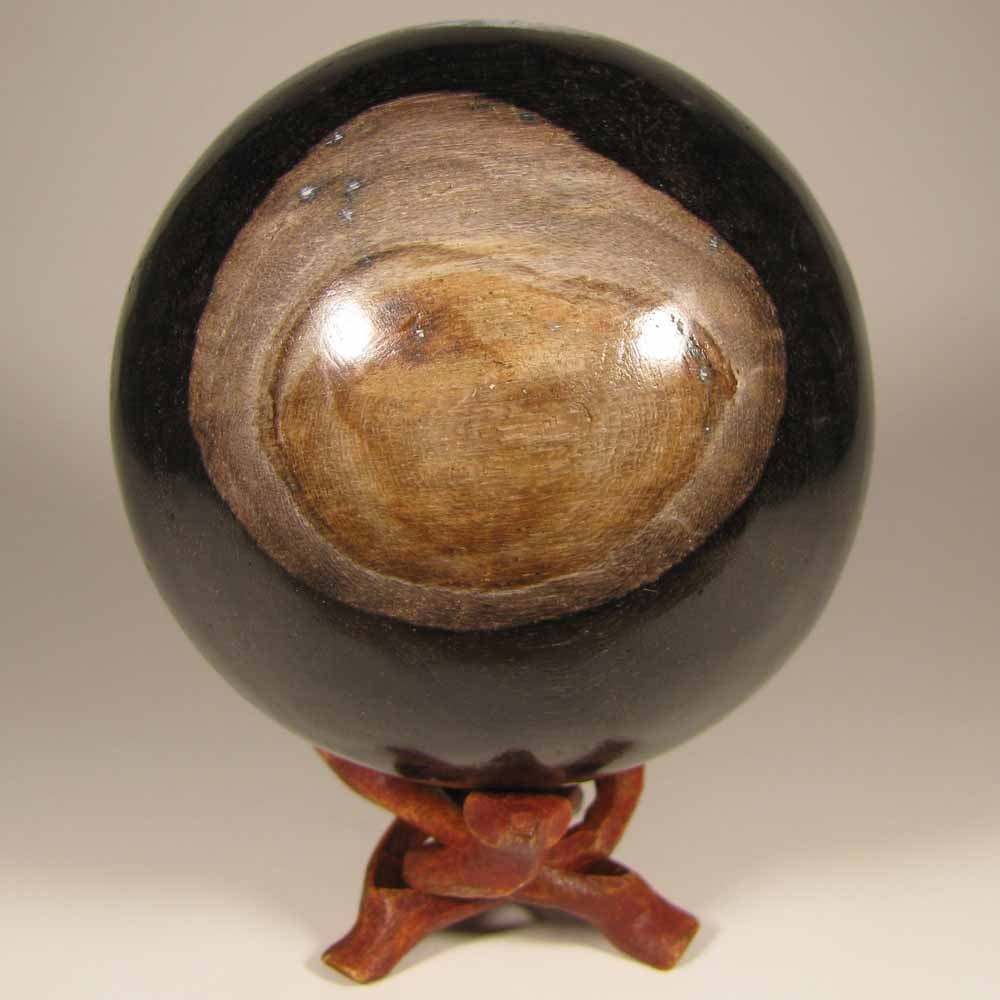3.4″ PETRIFIED WOOD Sphere Ball w/ Stand – Indonesia – 87mm – 1.9 lbs.