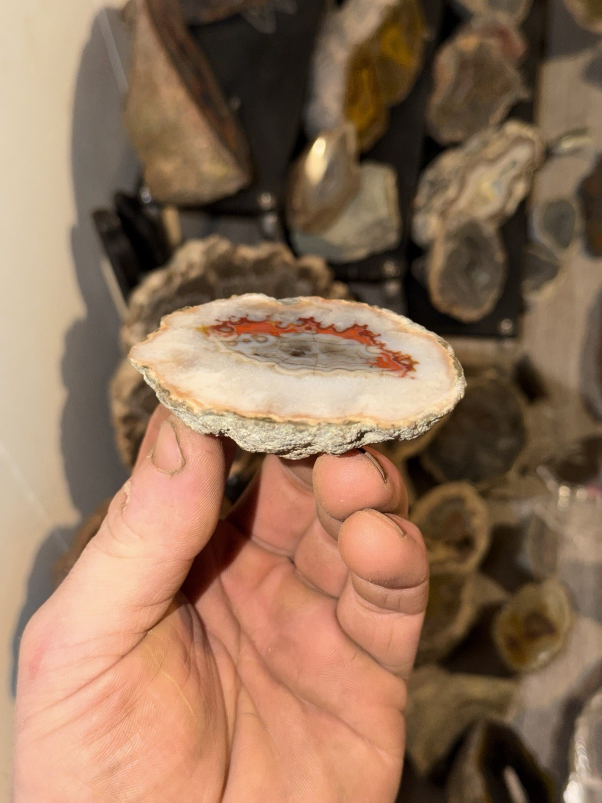 Imperial Kentucky Agate Specimen USA Red White And Blue Half Nodule Polished