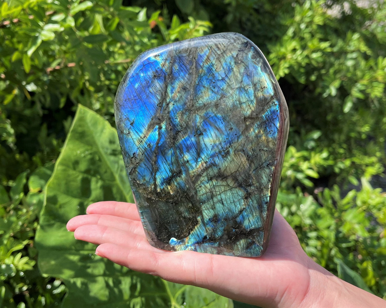 JUMBO Polished Labradorite Freeform: High Flash Free Standing Crystal Specimens