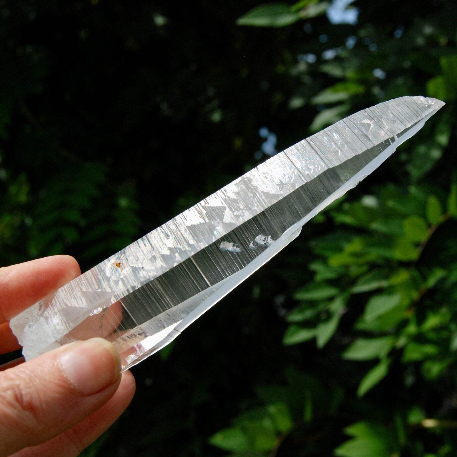 Lemurian Crystal Laser Starbary – 5.25″ 111g Etched Optical Empathic Warrior Qua