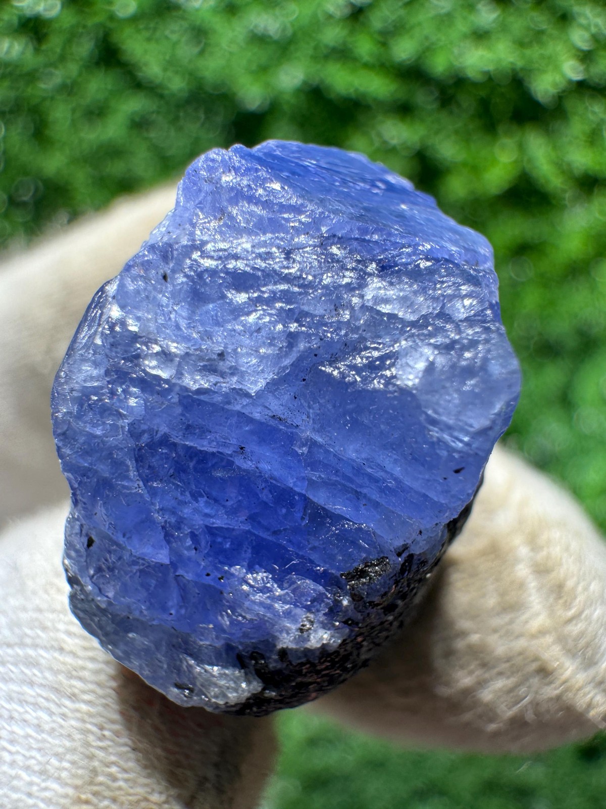 Lovely TANZANITE Crystal with COLOR CHANGE under yellow/white light / N384