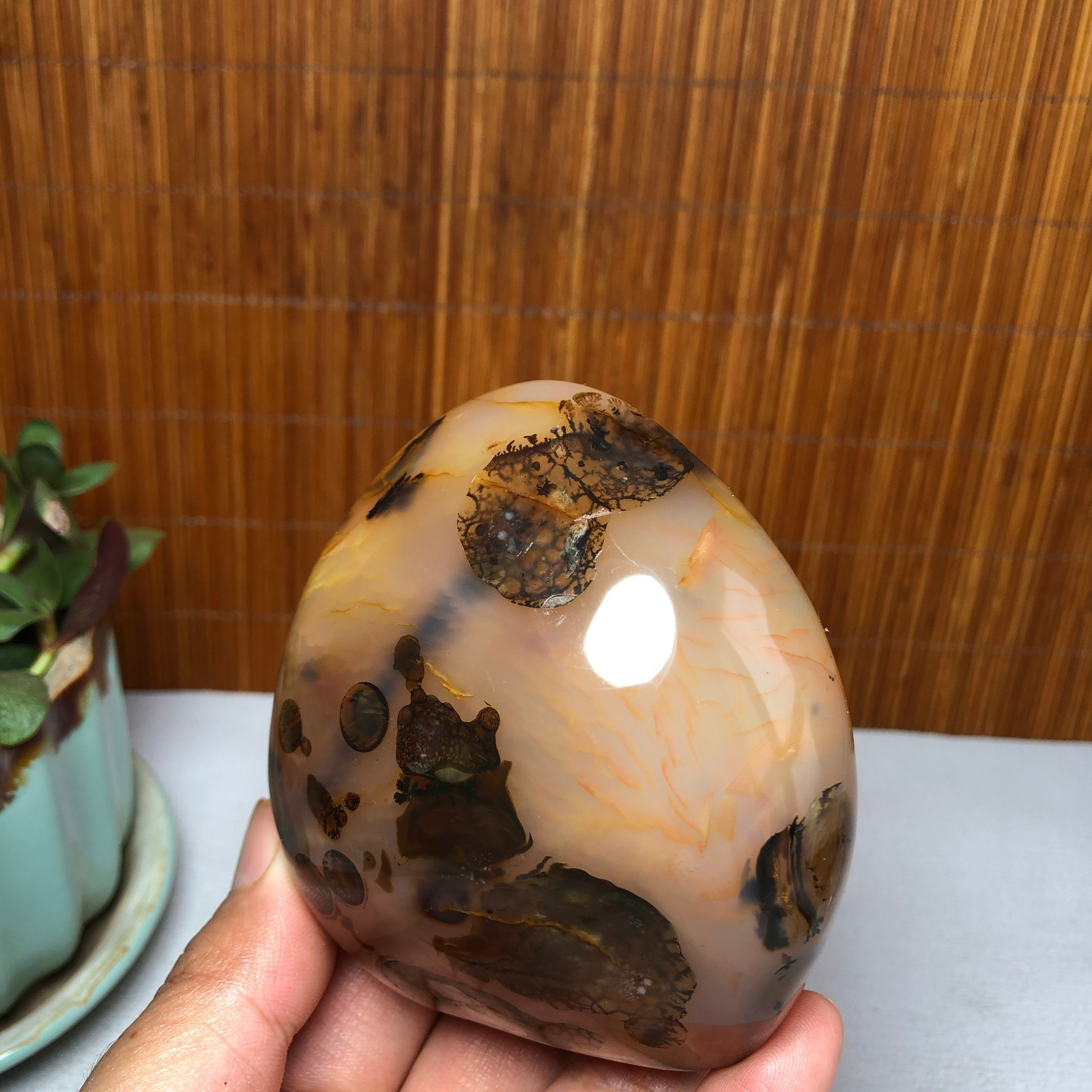 Natural aquatic plants agate pretty Crystal specimens free standing 331g A9998