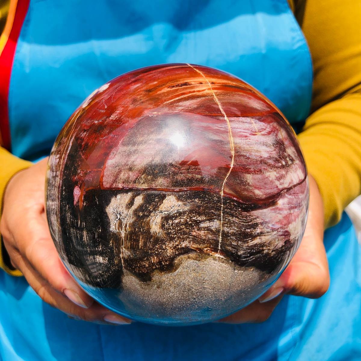 5.06LB Rare Natural Petrified Wood Ball Crystal Quartz Mineral Healing 4705