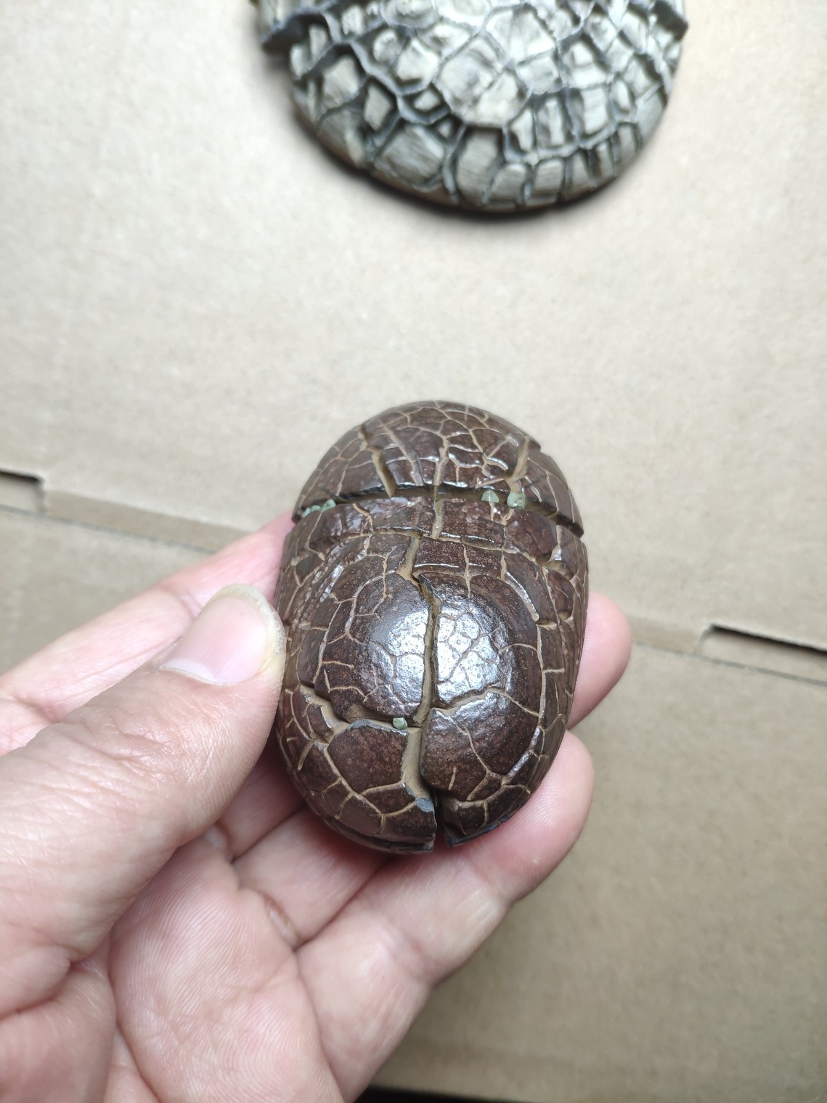 182g beautiful tortoise back pattern stone Turtle grain stone Landscape stone