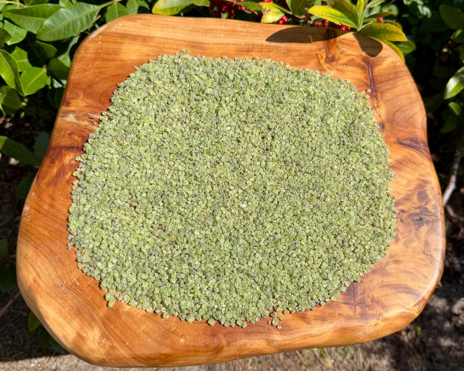 Peridot Semi Rough Gemstone Chips 2-4 mm Wholesale Lots (Natural Peridot Chips)