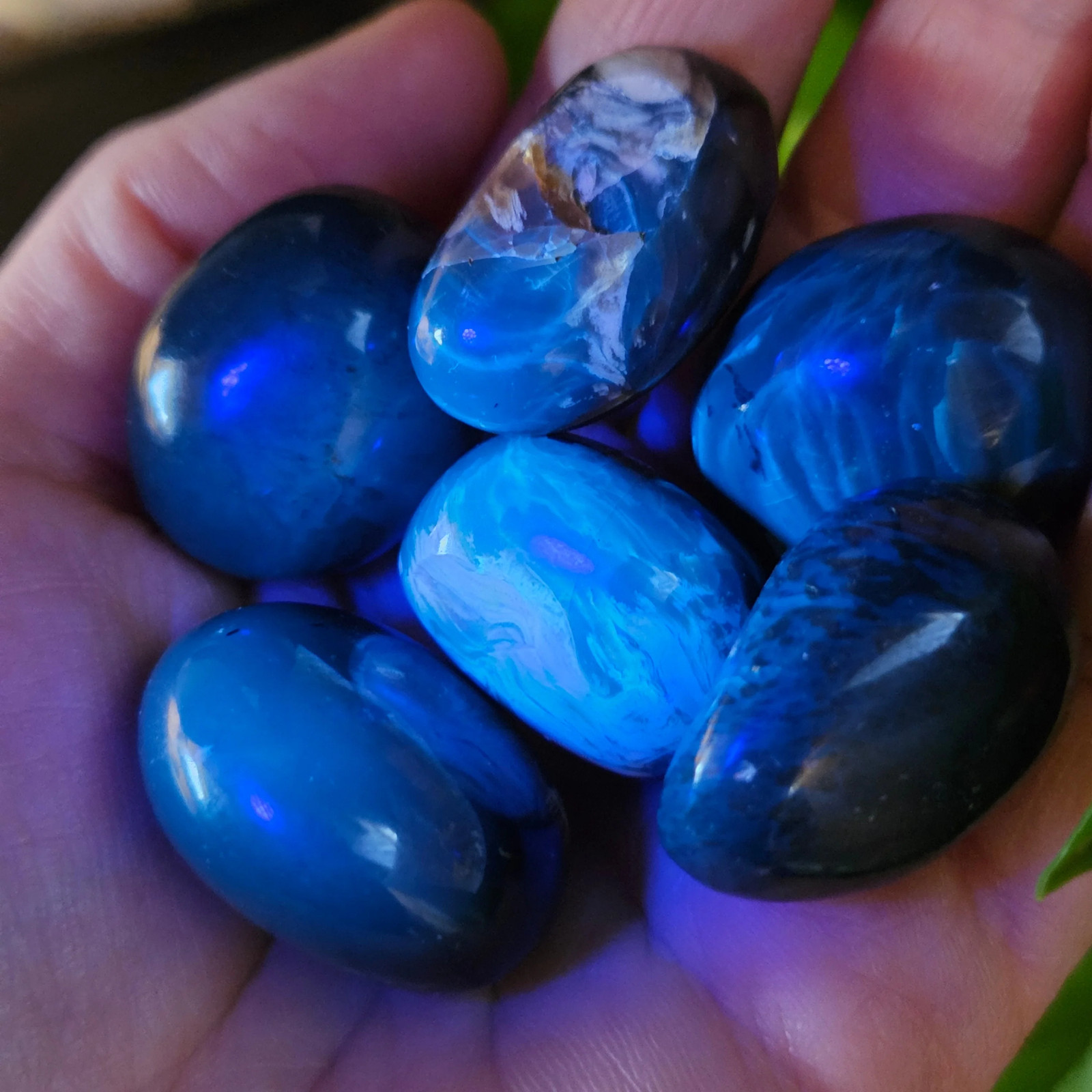 Blue Amber Specimen, Polished Amber from Indonesia