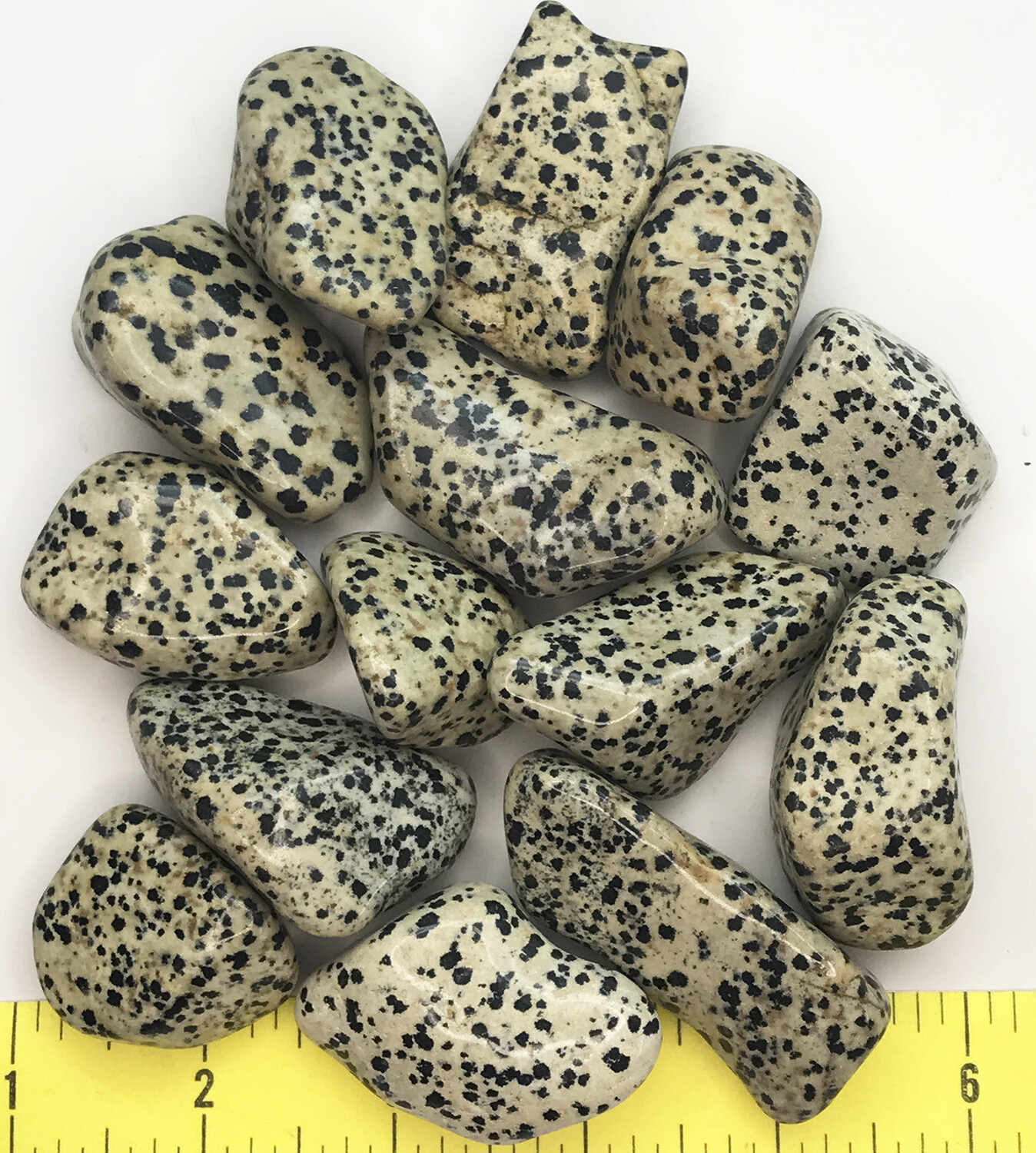 DALMATIAN STONE size XX-Large (1-7/8 to 2-1/2″) polished stones – 1 lb.