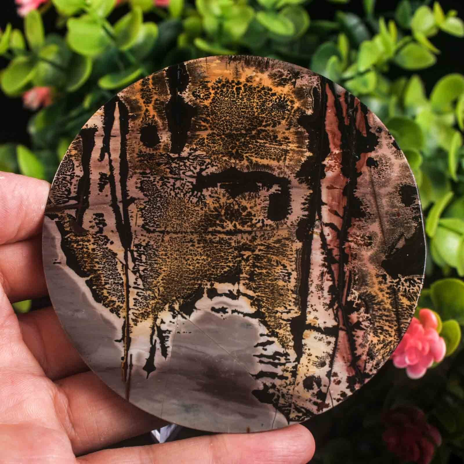 Picture Jasper Slab Natural Stone Display Crystal Specimen w/Stand 3.7″ 4.4oz