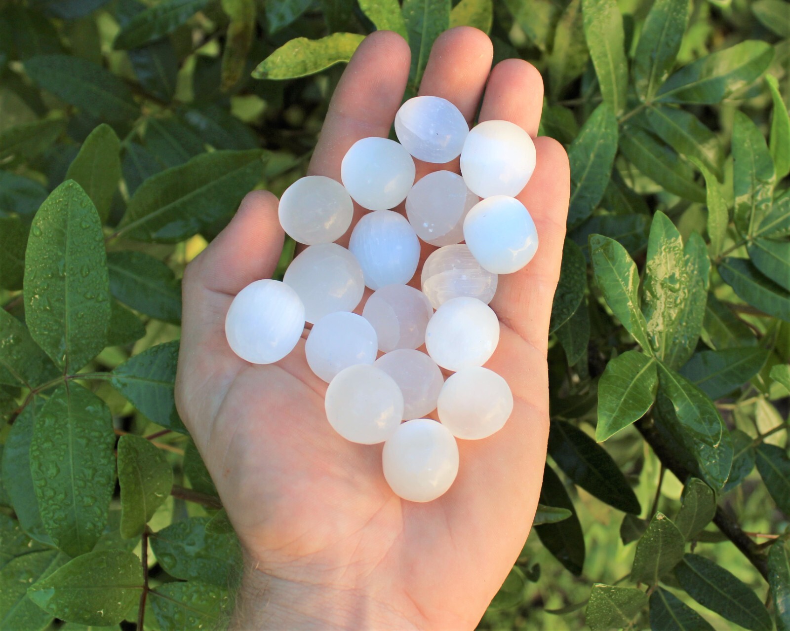 Selenite Tumbled Stones: Choose How Many (‘A’ Grade Polished Selenite Crystals)