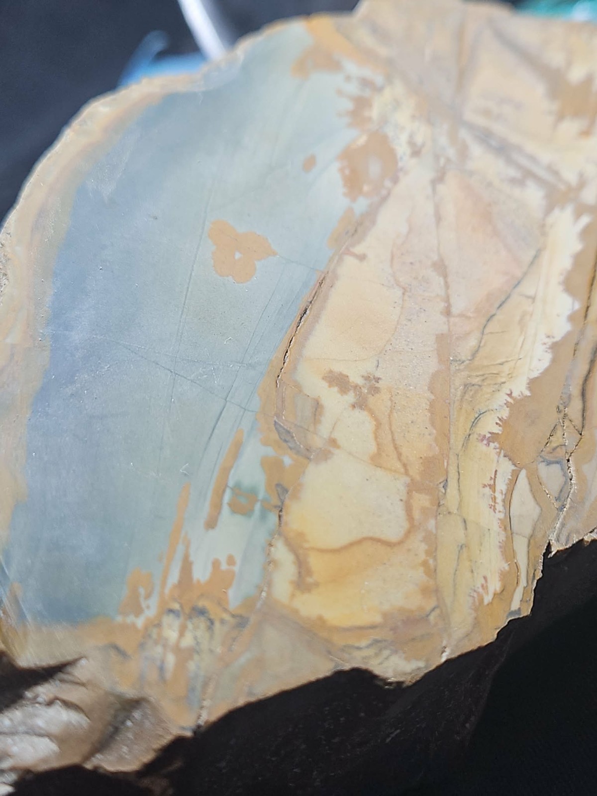 Oregon Picture Jasper Specimen (3lbs 4oz) Measures 8 in x 4 in x 3 in