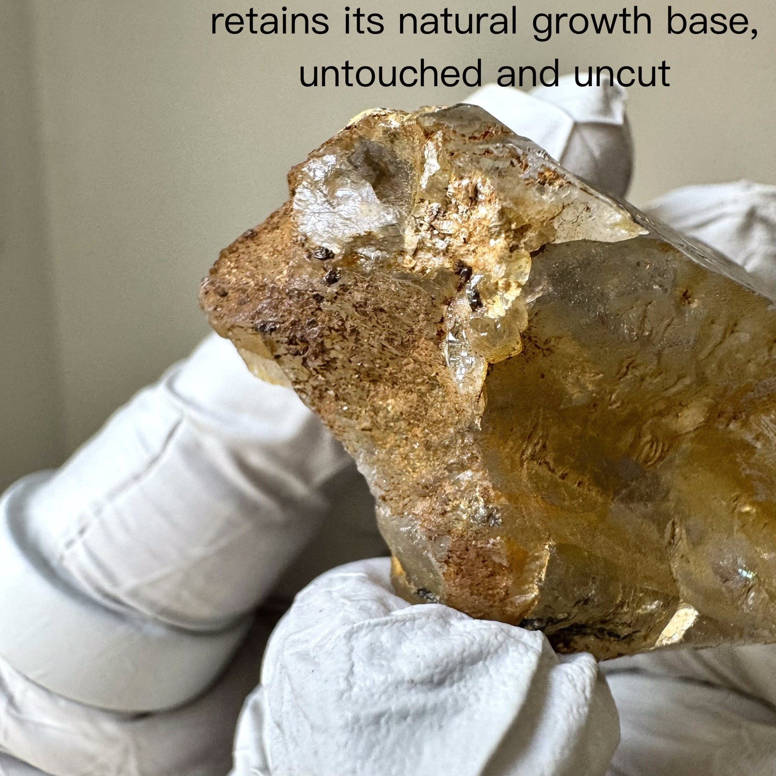 “Golden Comet” Ganesh Himalayan Quartz Secondary Growth Iron Oxide Nepal Crystal