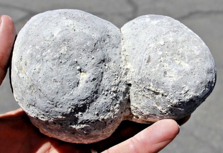 One Whole Double Bubble Dugway Geode • 5.25″ diameter • 2 lb. 2 oz.