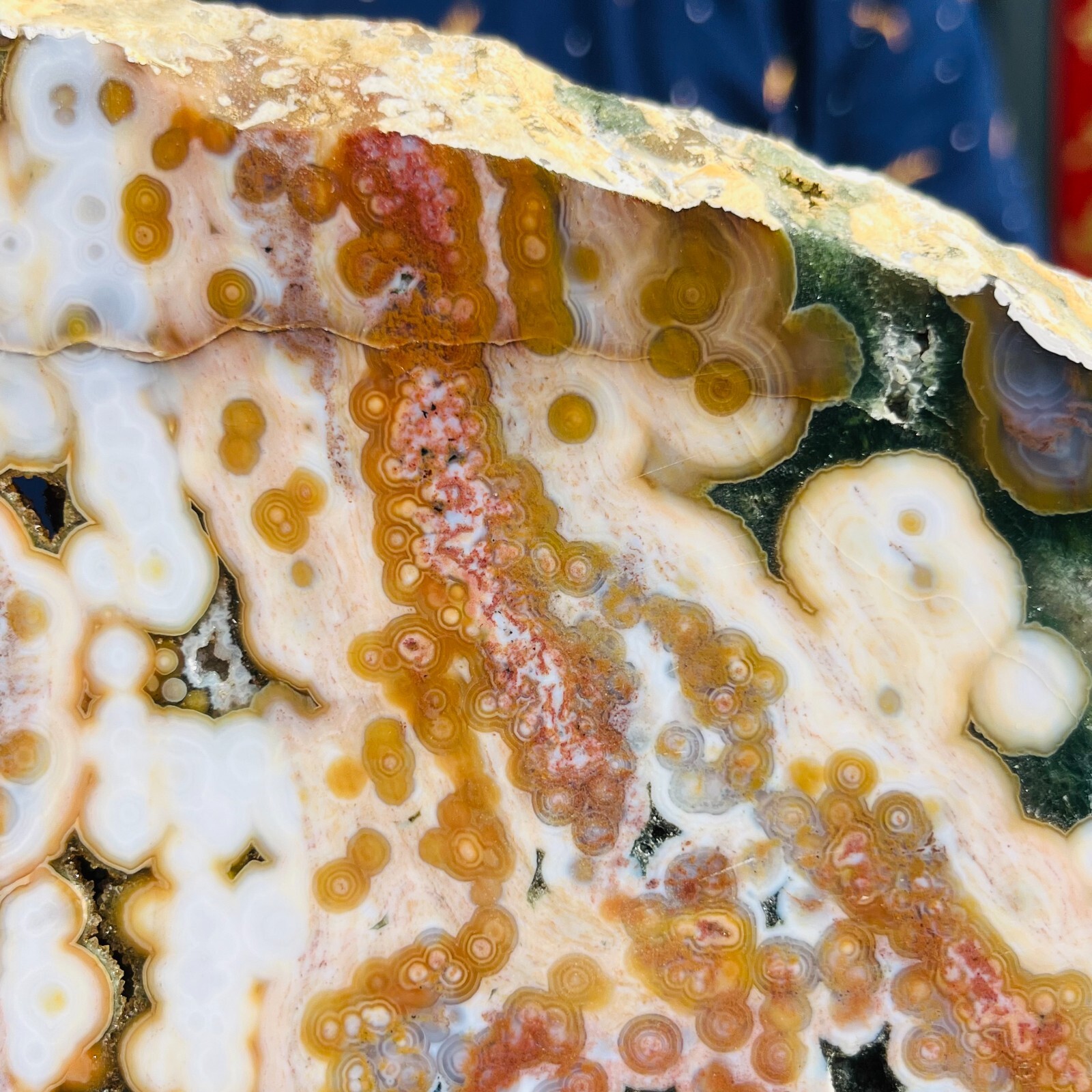 3.75LB Rare Natural The 8th Vein Ocean Jasper Slab Quartz Crystal Reiki Healing