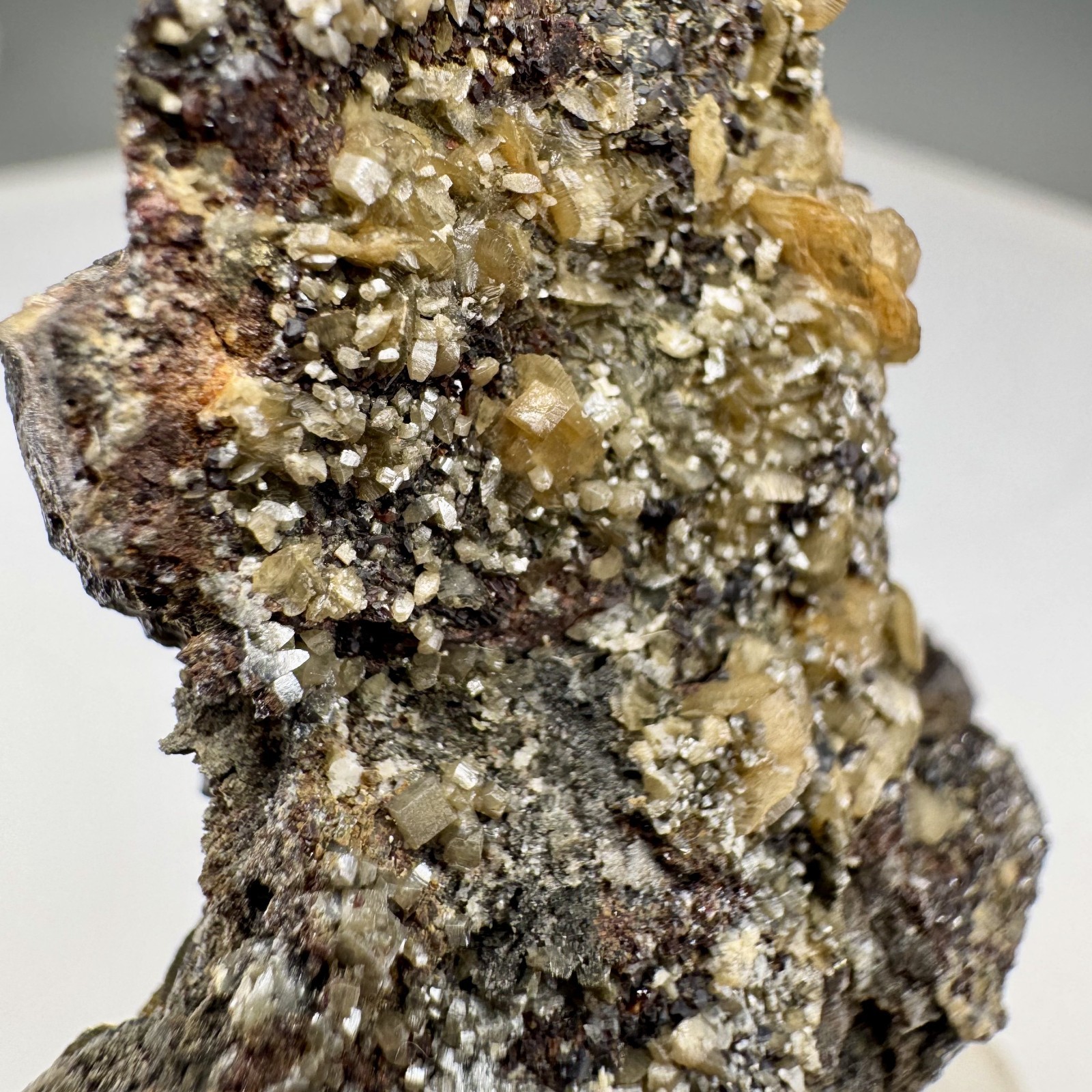 Wulfenite Crystals on Matrix: Lill Mine, Přibram, Czech Republic- Classic!!
