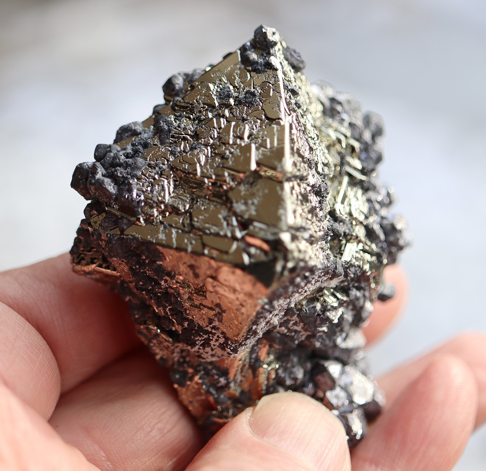 A perfect octahedron of pyrite with galena. No damage Huanzala mine Ancash, Peru