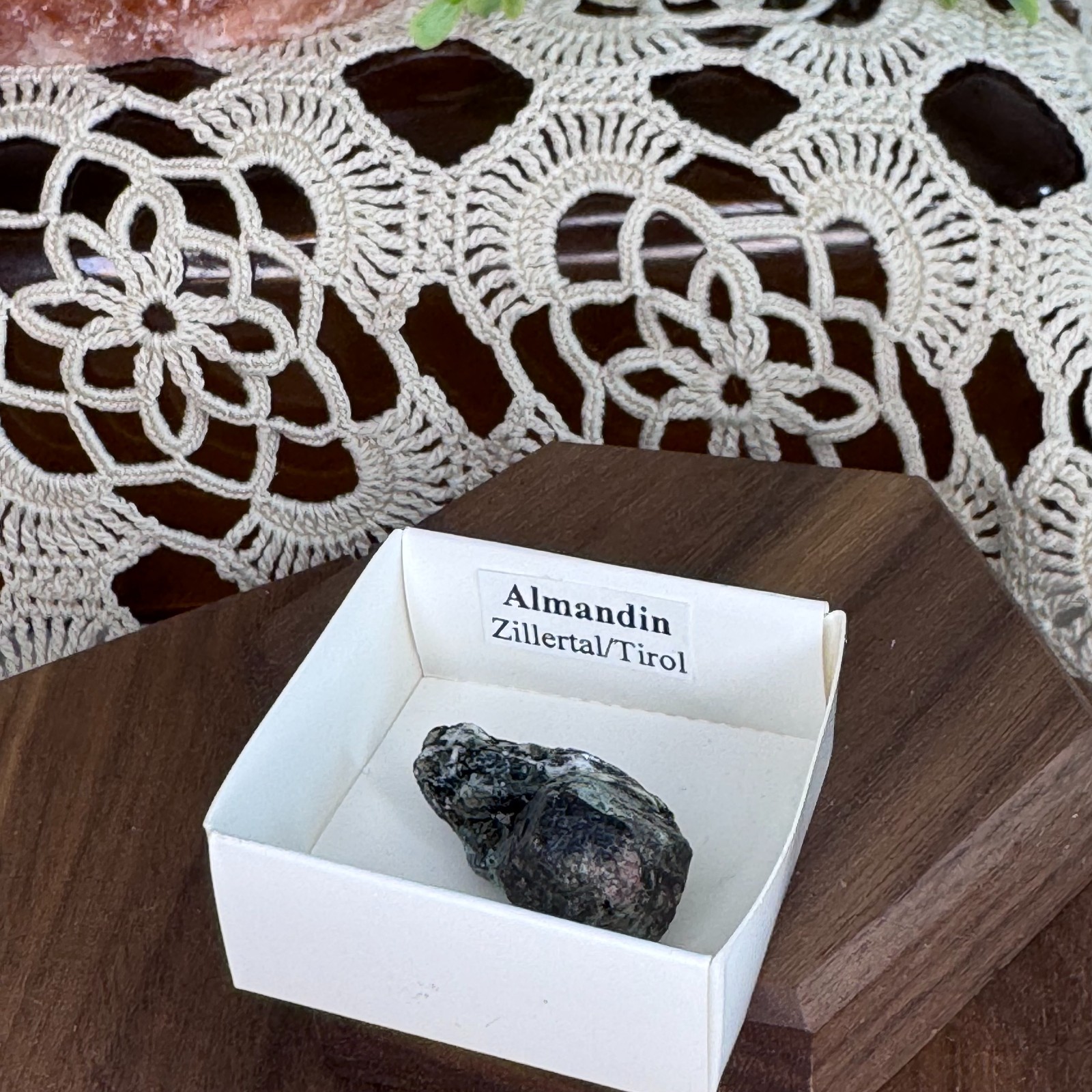 Almandine Garnet in Matrix Zillertal Tirol Austria Natural Mineral Specimen Boho