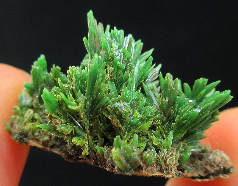 6.9g green pyromorphite crystals minerals specimens from China!~~