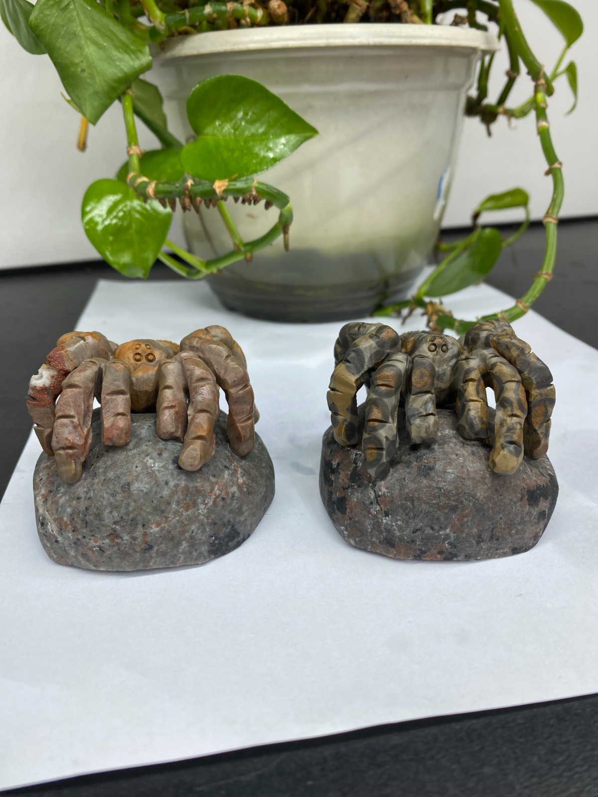 1pc Natural Moneystone Quartz Carved spider skull Crystal reiki healing Decor