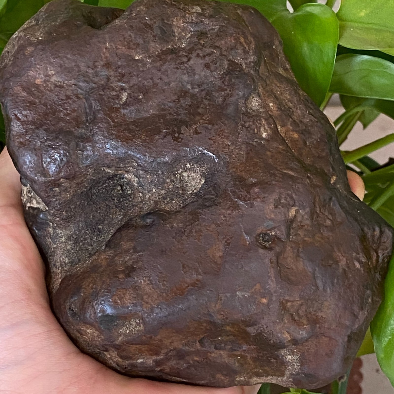 1357g Natural Iron Meteorite Specimen from China W380