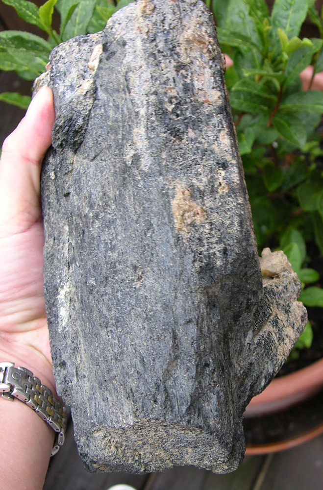 10lbs 8in Ontario Canada Huge Raw Hornblende Crystal Museum Specimen 4.50kg