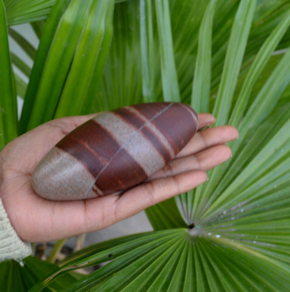 Shiva Lingam Polished Stone | Narmarda River Stone -1126