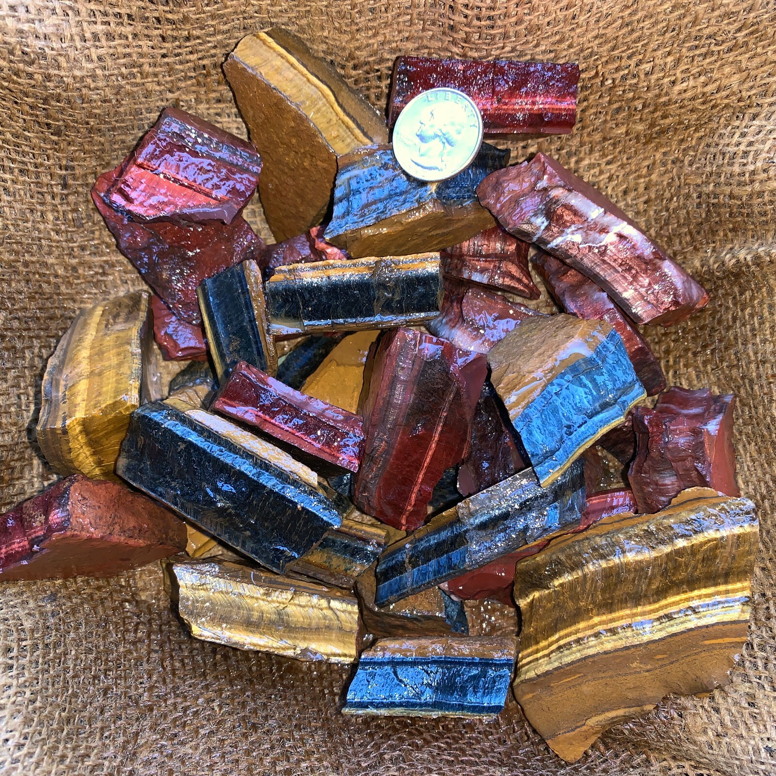 MIXED Tiger Eye Rough (RED, BLUE, GOLD)- 1000 Carat Lots+a FREE Faceted Gemstone