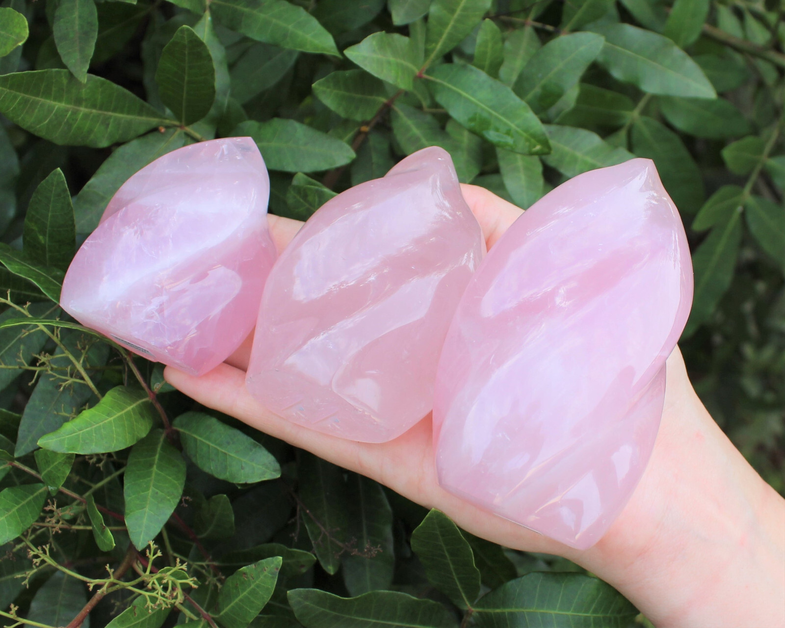 Polished Rose Quartz Crystal Flame – Natural Rose Quartz Flame Cut Base Specimen