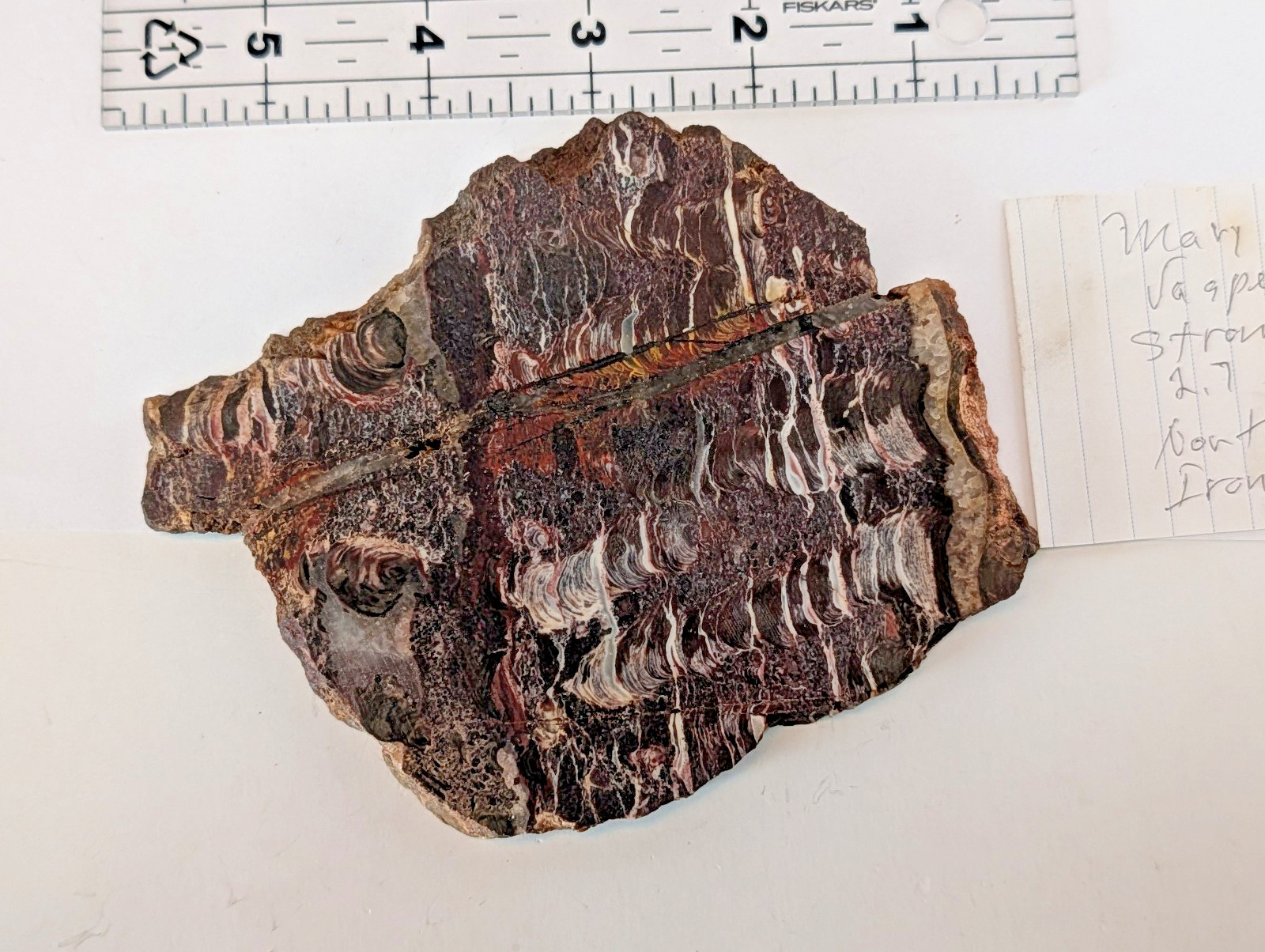 Mary Ellen Stromatolite Pair Iron Range Minnesota Polished Face 378g + 175g