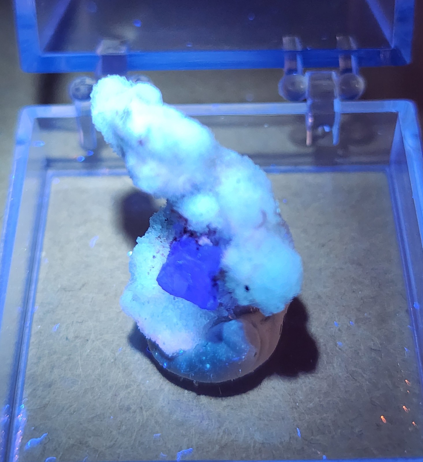 🌟ULTRA-REACTIVE LILAC CREEDITE FLOWER – Qinglong Mine, China🌟