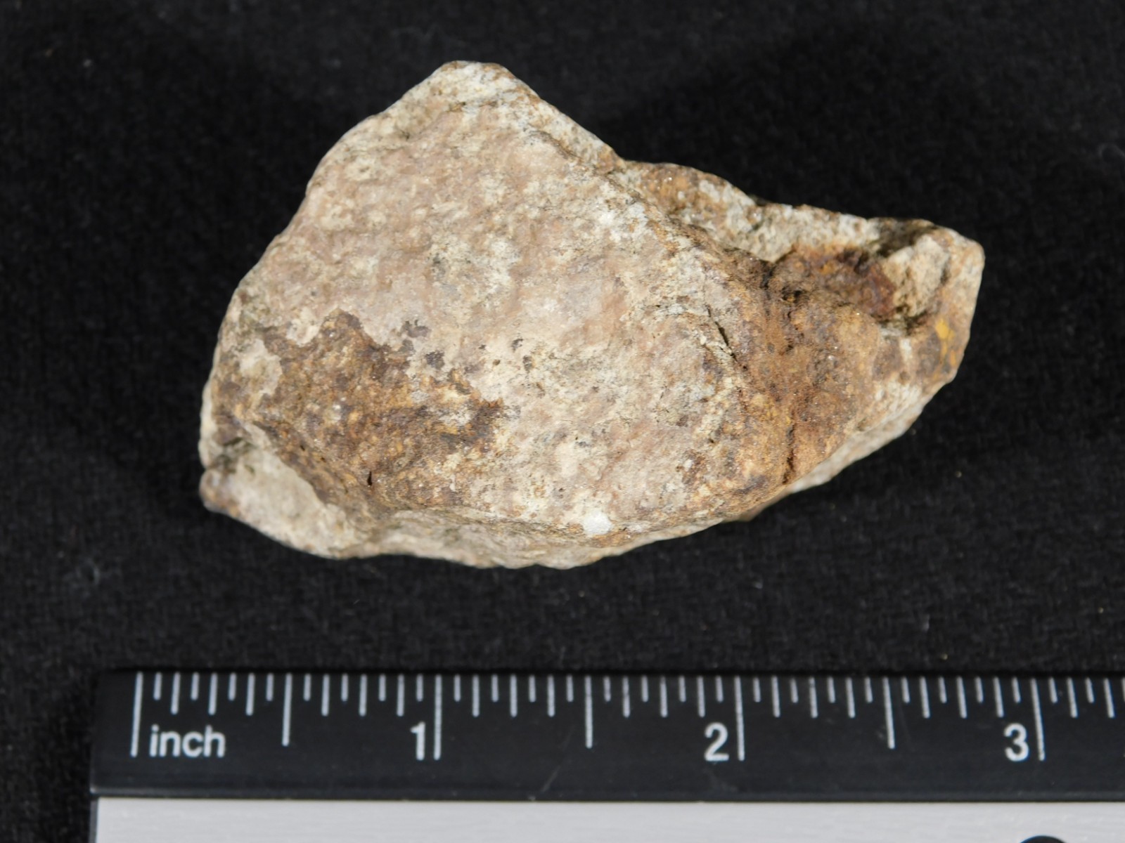 Classified NWA 8245 METEORITE 100% Natural Erfoud, Morocco 147gr