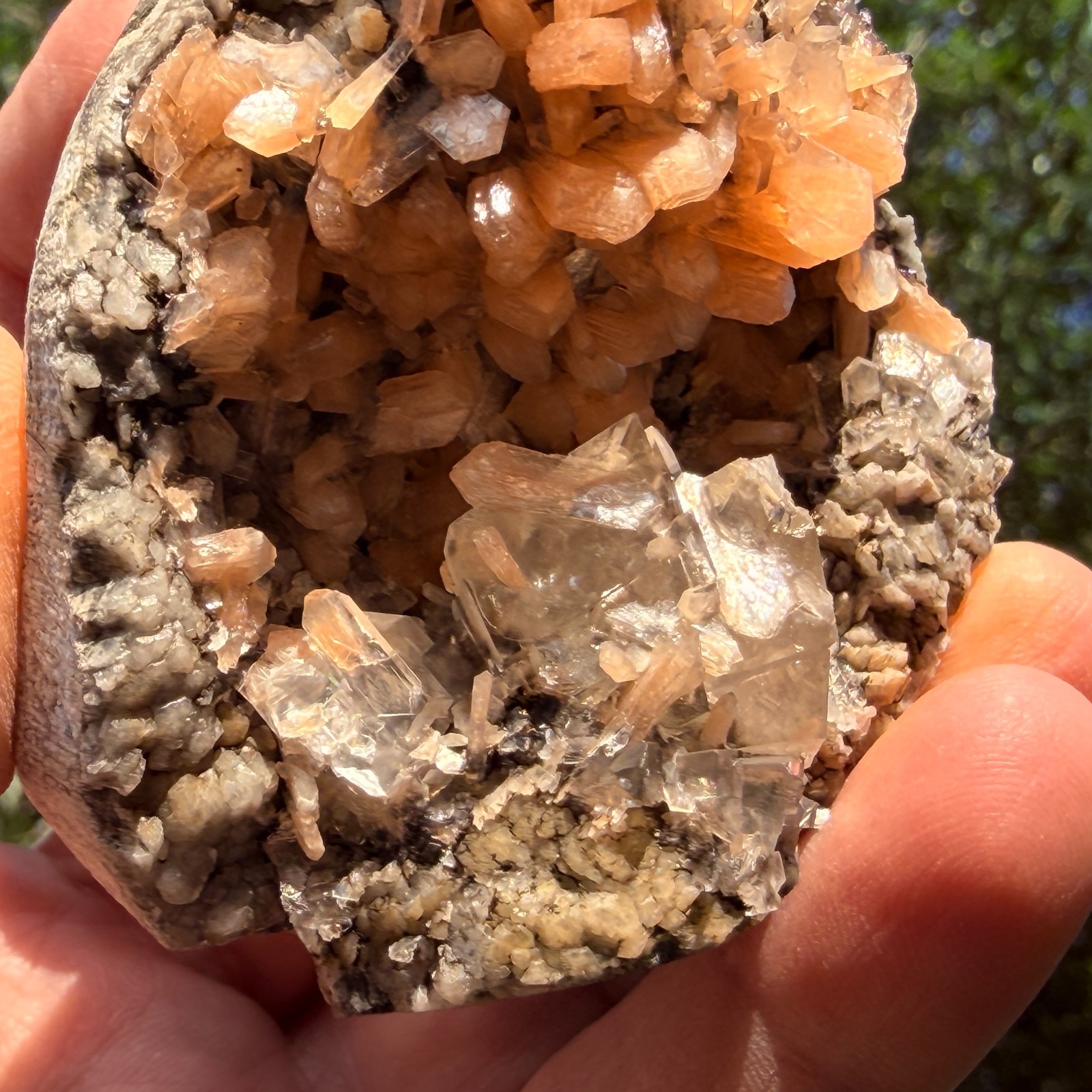 Rare Calcite Stellerite Julgodite Geode India Dual Wave UV Fluorescent Stand