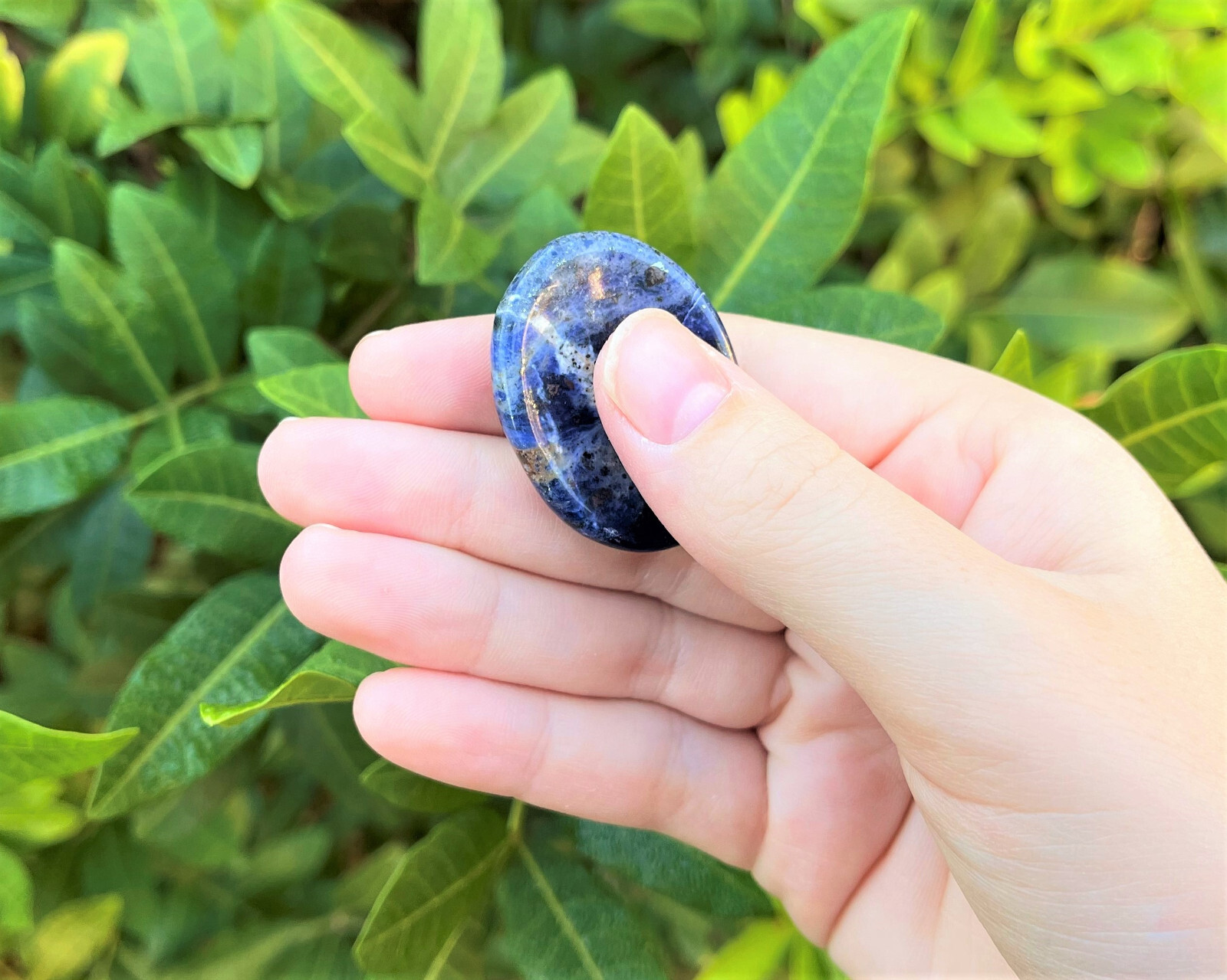 Sodalite Worry Stone (Smooth Polished Sodalite Pocket Palm Stone Crystal)
