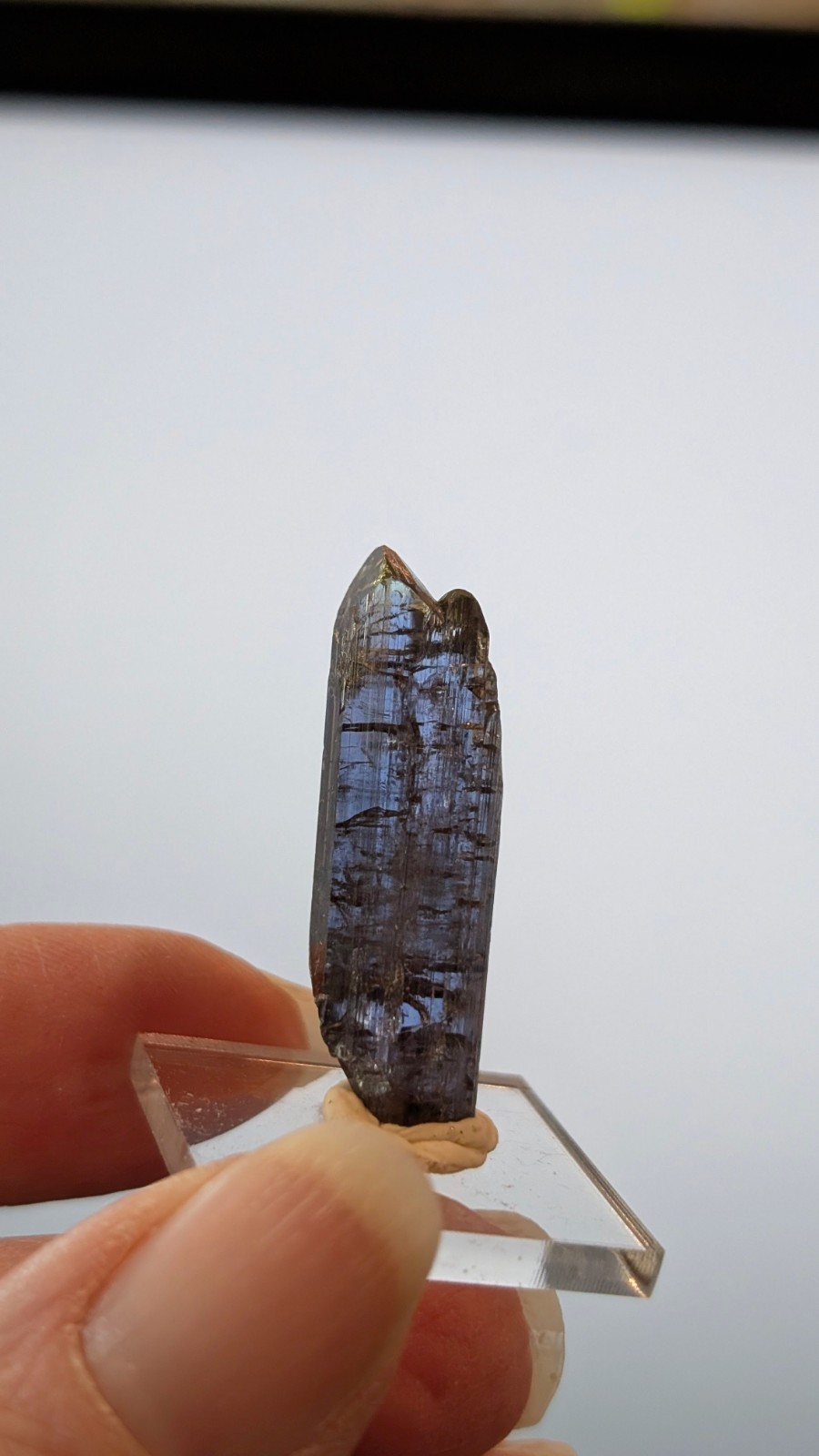 24.4 ct Natural Tanzanite Crystal – Strong Pleo Blue/Purple/Green – Unheated