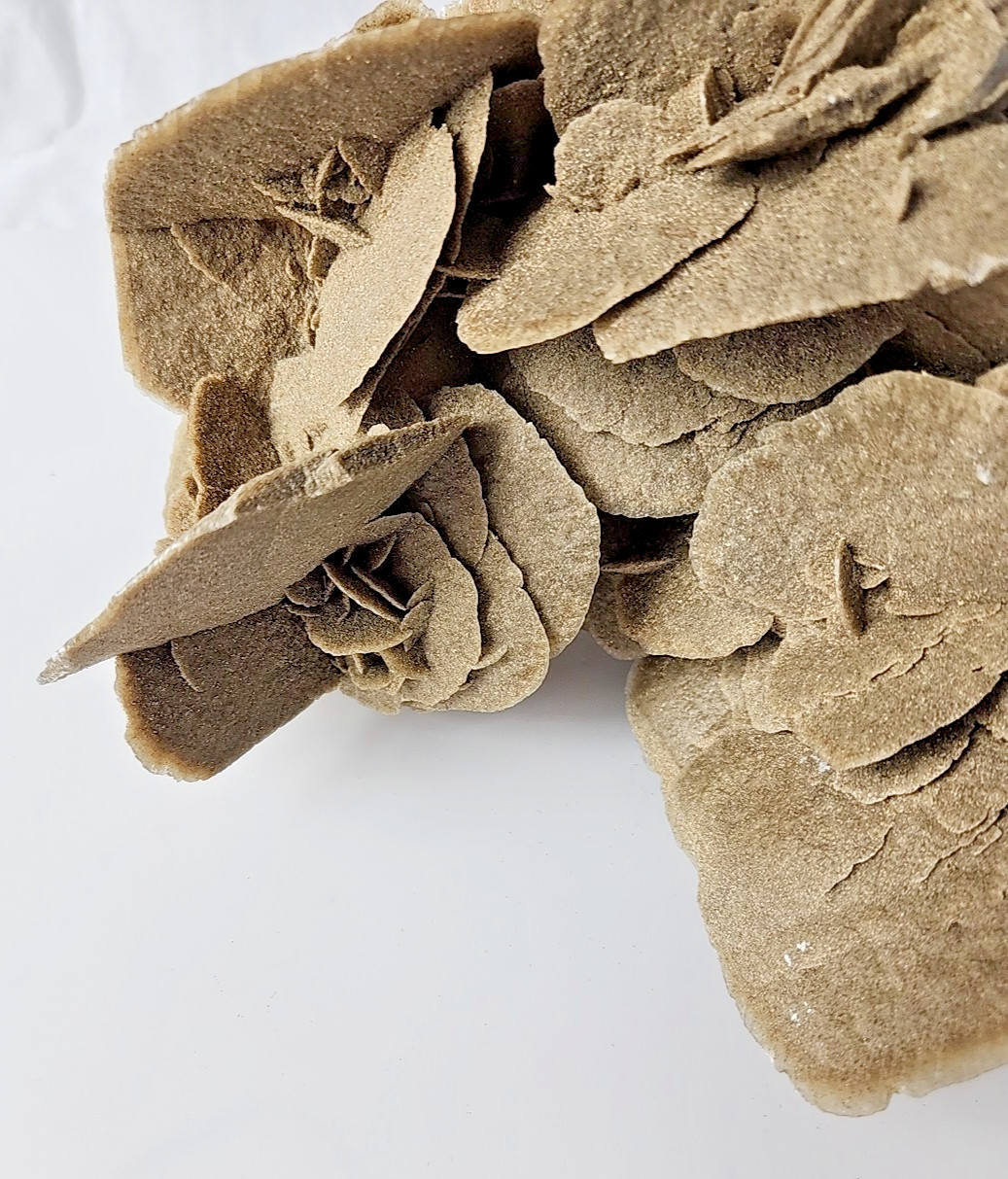 6 LB 7 OZ 2.94 kg Selenite Desert Rose Gypsum Minerals Crystals