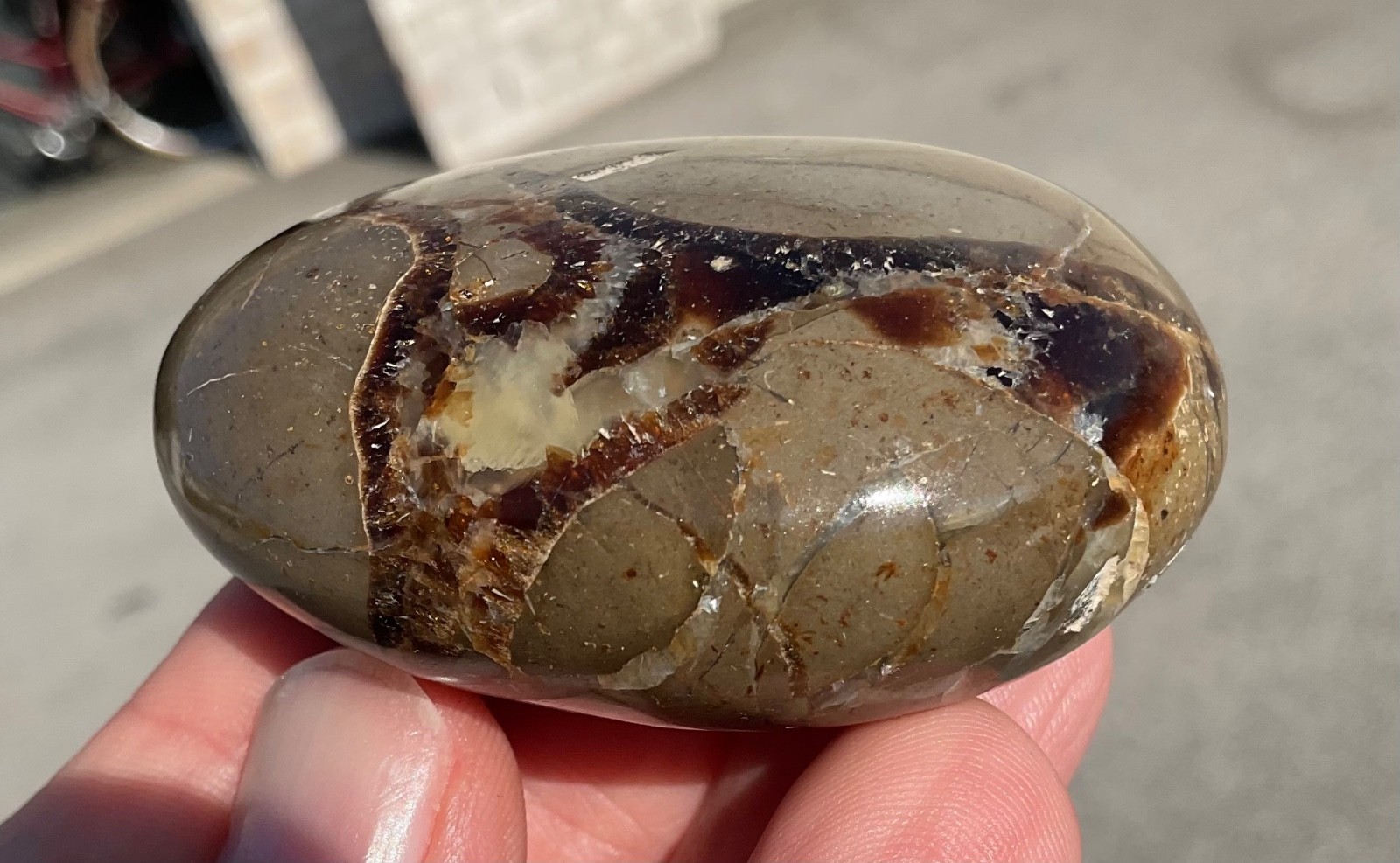 118g Polished Septarian Palmstone Dragon Egg Geode Fossil Worry Stone