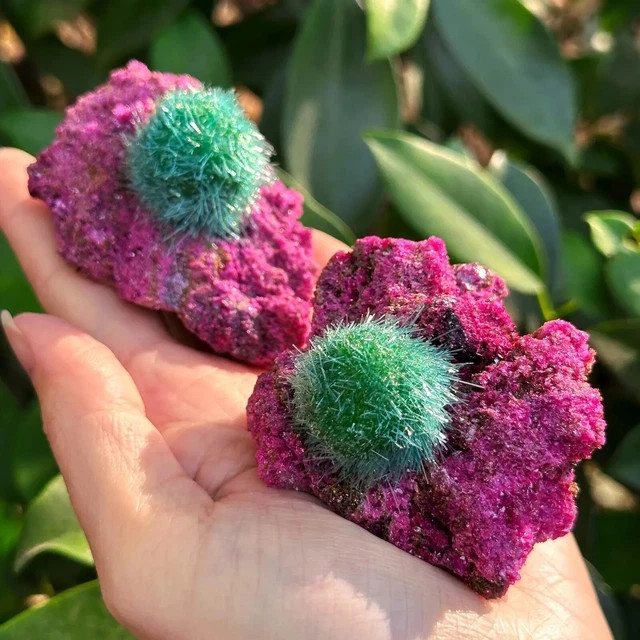 Red Rare Dandelion Zeolite Quartz Crystal Healing Cluster Mineral Specimen Decor