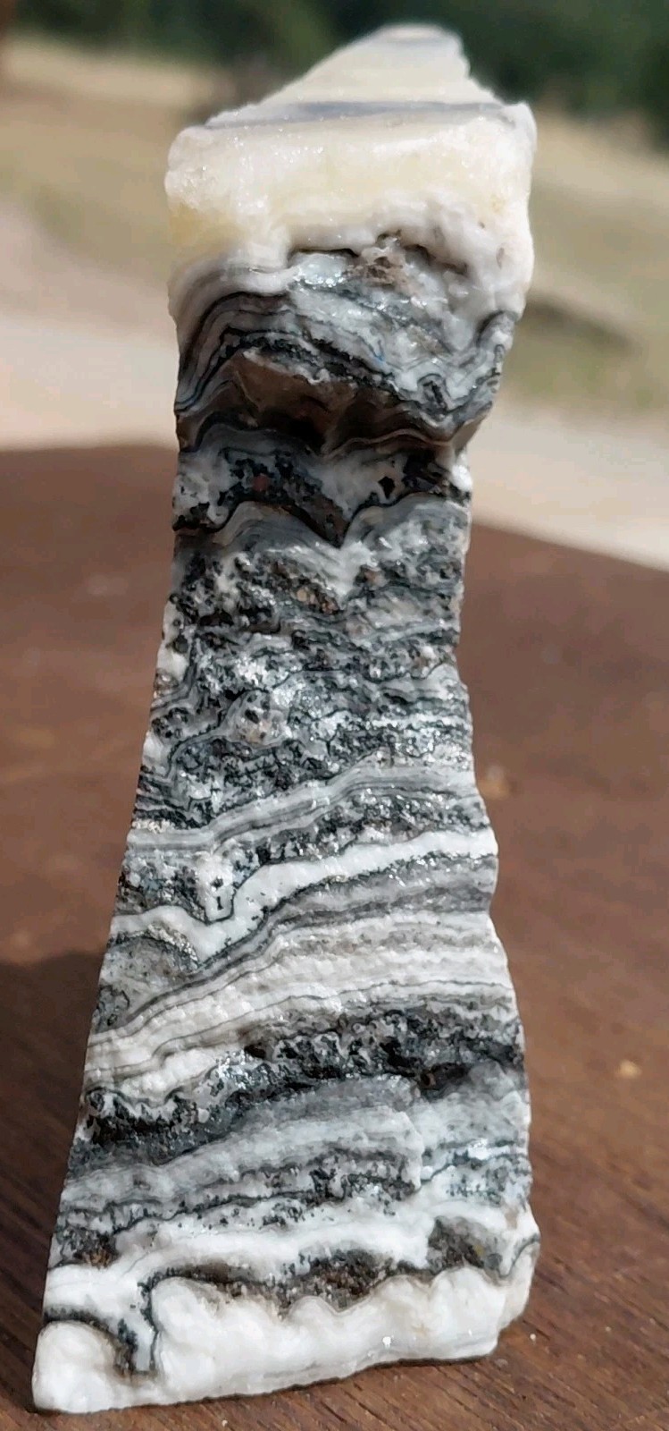 Zebra Calcite Self-Standing Display Band Dendrite 3 3/4×4×1 1/4UVReactive 1/2 Lb