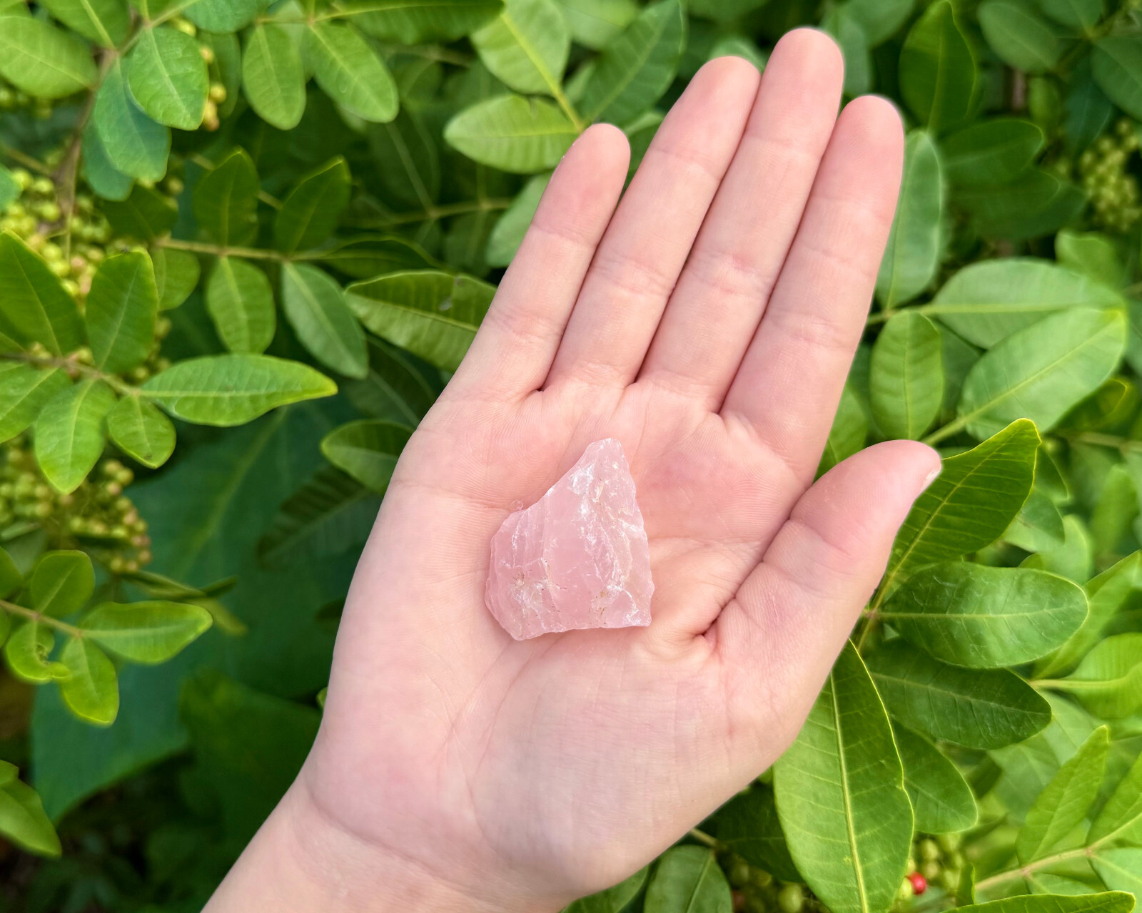 5 x Natural Rough Rose Quartz Crystals (Raw Specimen Healing Reiki Love Stone)
