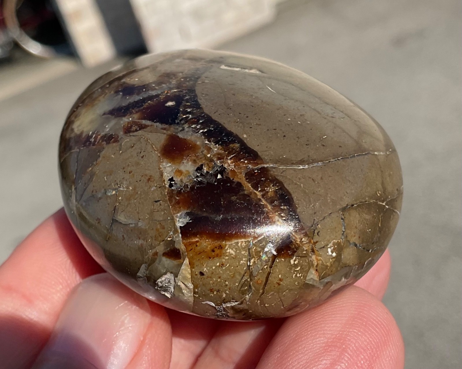 118g Polished Septarian Palmstone Dragon Egg Geode Fossil Worry Stone