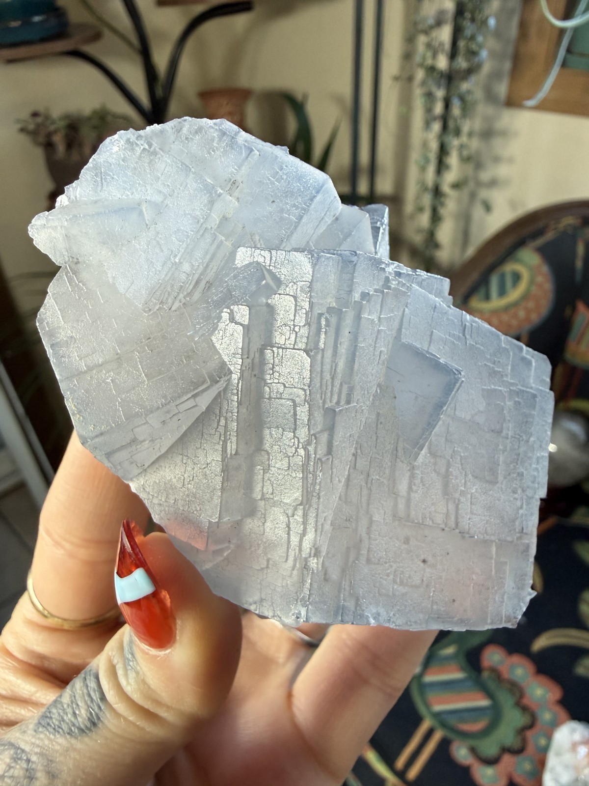 Blue Fluorite Cubes – Floating Cluster (No Matrix) – 9.28 oz