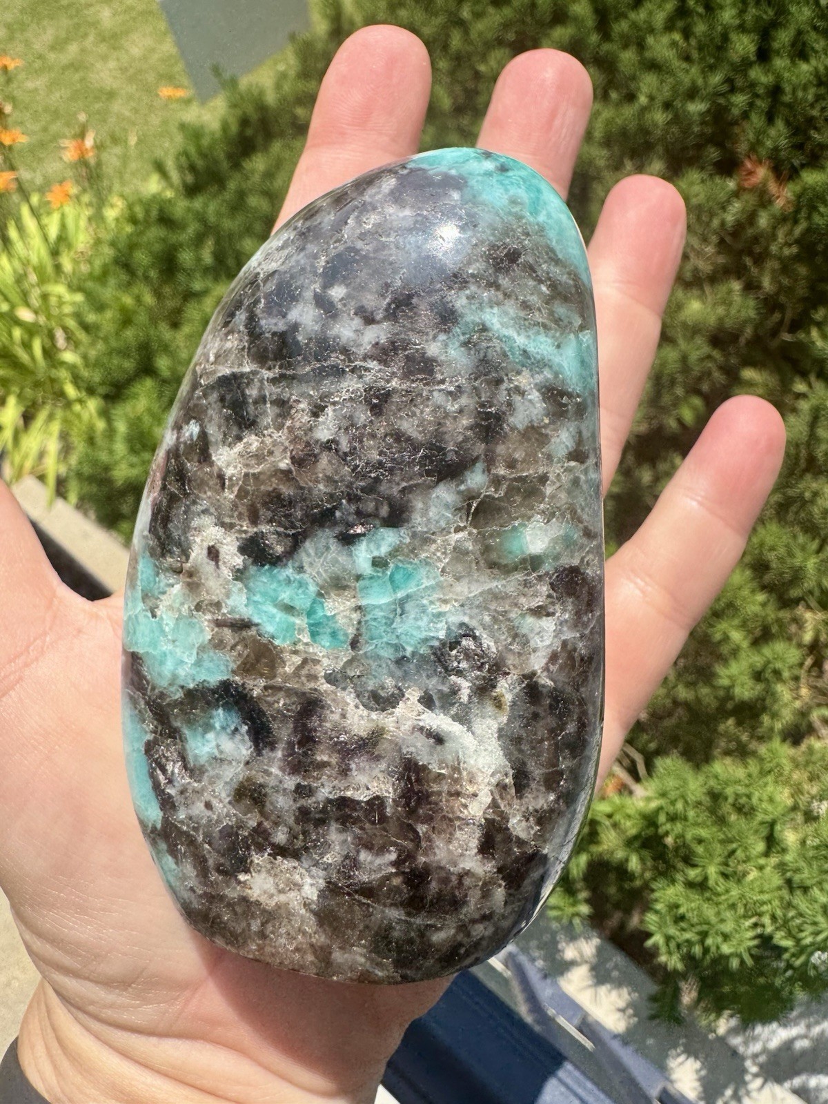 Vibrant Polished amazonite With Smoky Quartz Freeform.