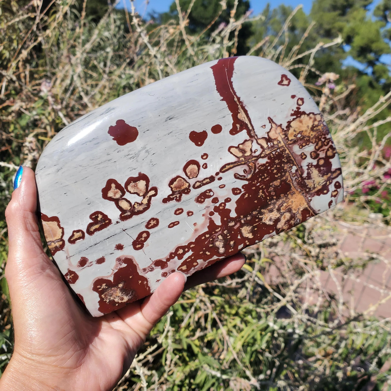 Picture Stone Jasper Dendritic Dendrite Display Freeform | 2lbs 11oz 1220 Gram