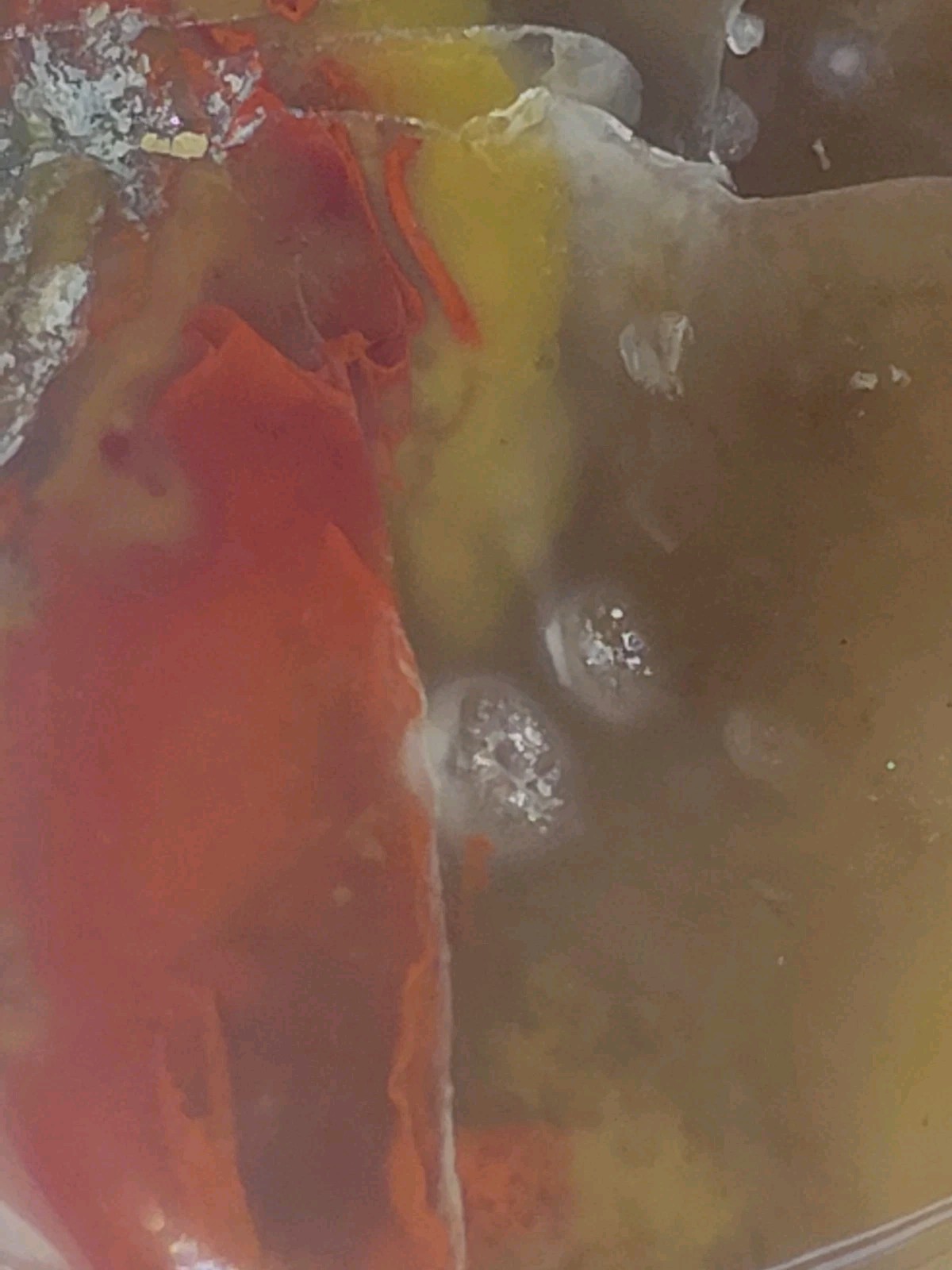 Polished Yellow Cat UV+ Agatized Petrified Wood Limb Cast Mineralization @ Depth