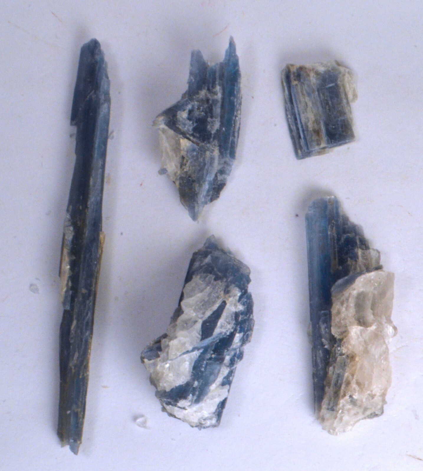 #7725 Very Gemmy Blue Kyanite – Bahia, Brazil – 5 Pieces