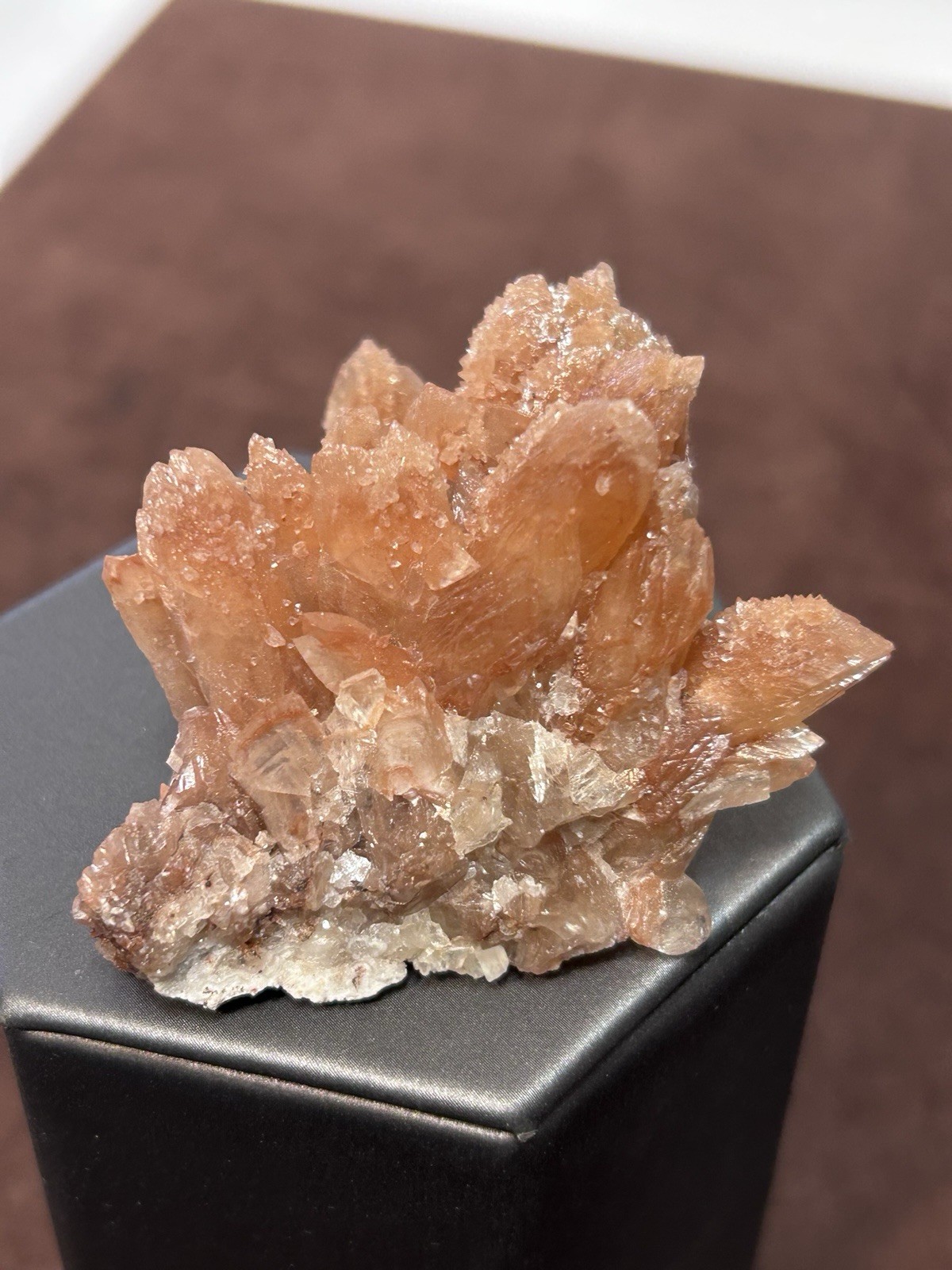 Peachy Salmon Orange Calcite on Calcite Santa Eulalia Mexico Joseph Simon