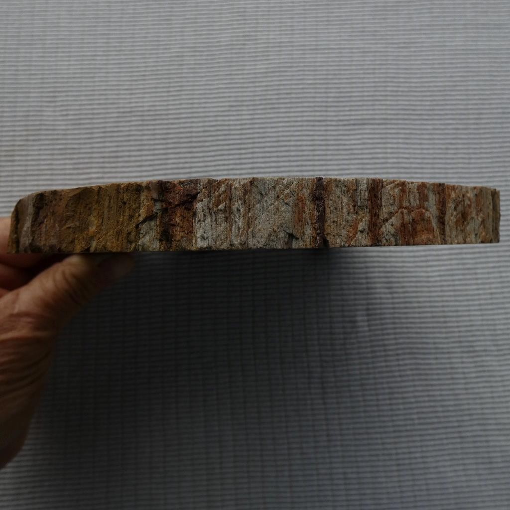 RimRock: 1.90 Lbs Polished NEW MEXICO PETRIFIED WOOD Rough Full Round