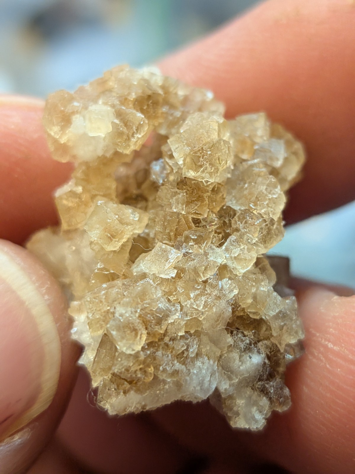 Brown Fluorite Cluster with Quartz Fluorescent Western Kentucky USA
